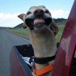 Meet your Posher, Paola